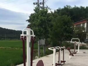 乐至县某村委会-新国标健身器材