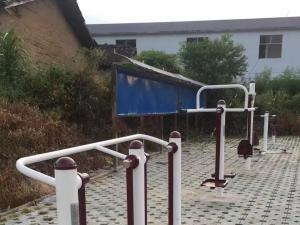 青白江白马村-新国标健身器材